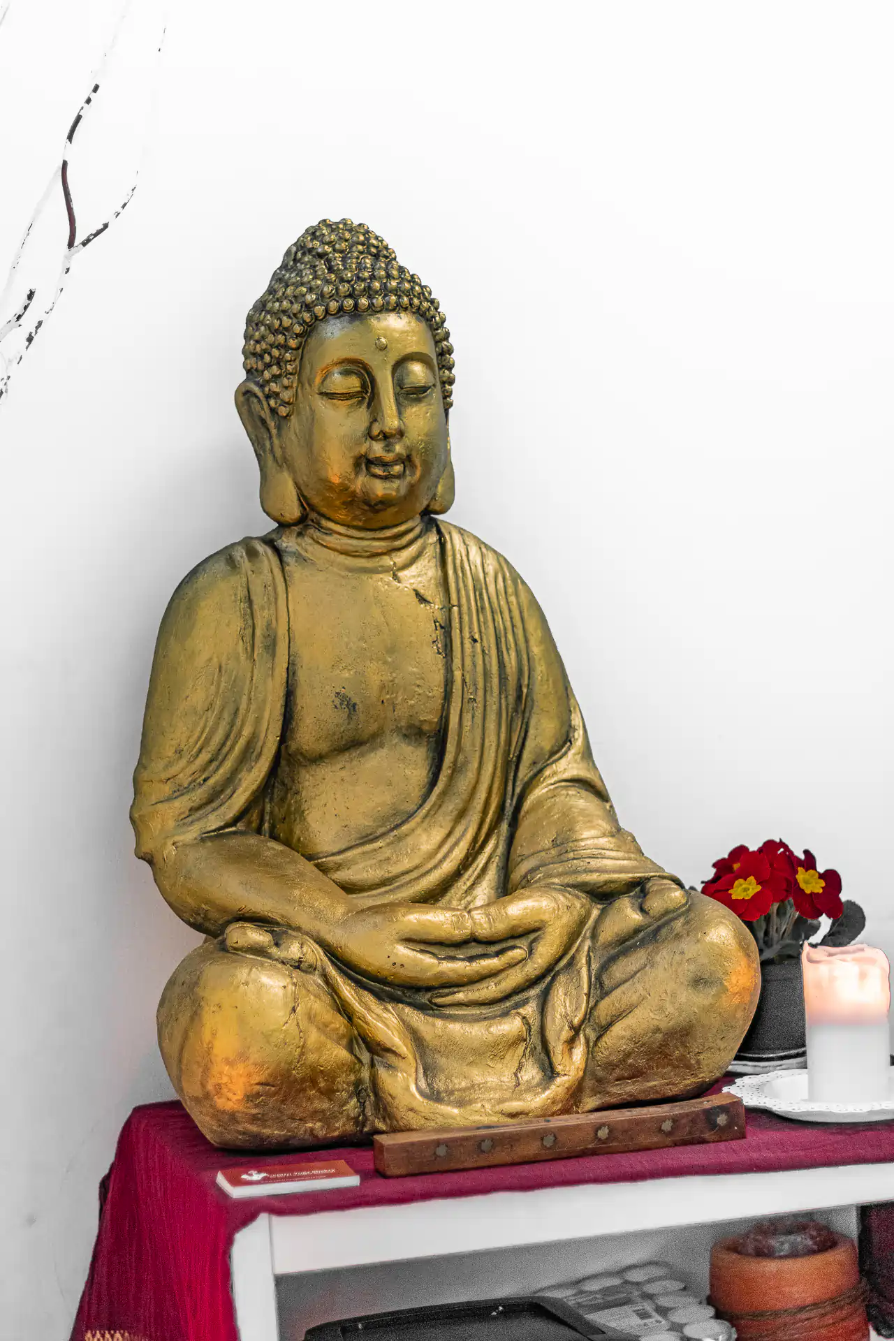 Centro Yoga Shakty Seregno